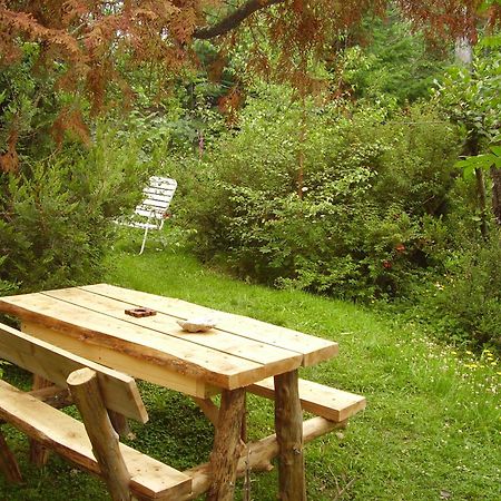 וילה לה אנגוסטרה Hosteria Brisas Del Cerro מראה חיצוני תמונה